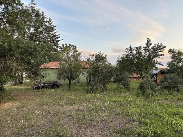 Casă cu Teren 2000 Mp în Șelaru