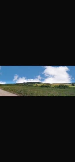 Teren agricol extravilan de 28000 mp, în Șoarș