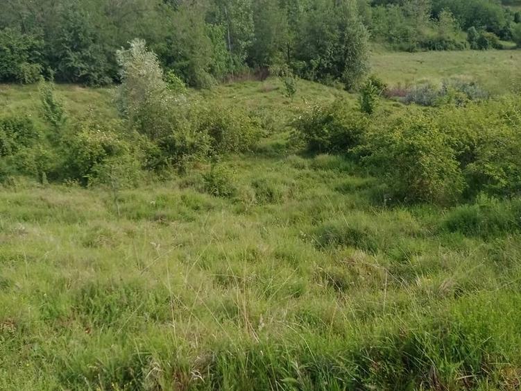 Teren de 4574 mp, în Predeal