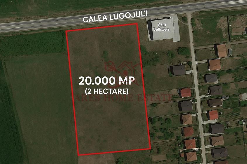 Teren agricol extravilan de 20000 mp, în Lugojului