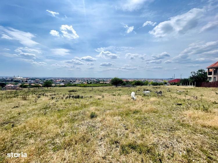 Spațiu comercial, în Livada de Bihor
