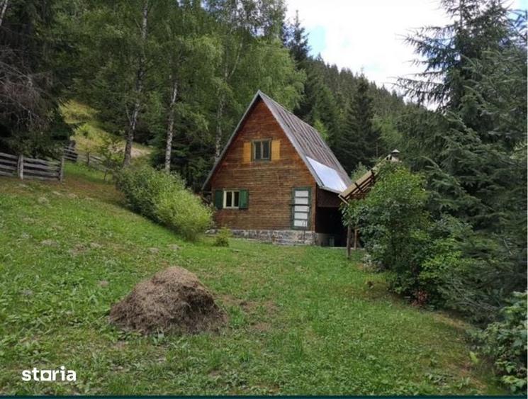 Teren cu cabana off-grid jud Harghita - 4