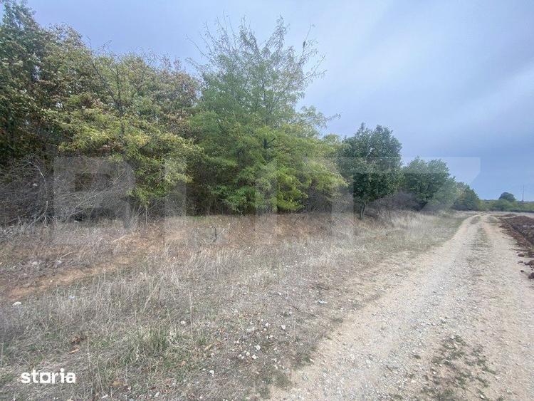 Teren de 15000 mp, în Coșoveni