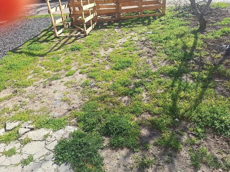 Apartament cu 3 camere semidecomandat în Traian