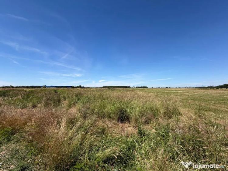 Teren 3550 mp, oportunitate investi?ie, zona Carcea - apro - 1