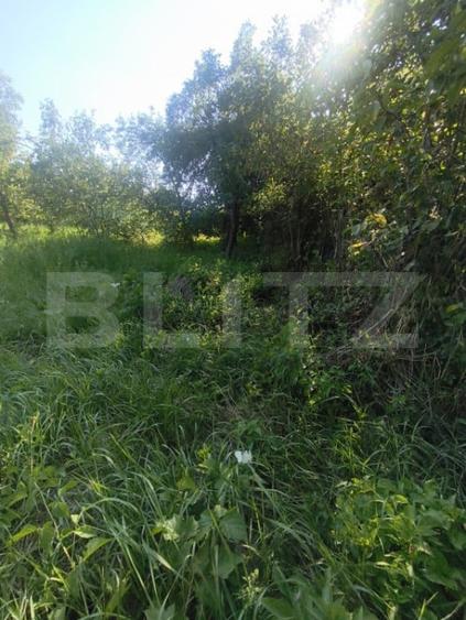 TEREN INTRAVILAN DE VANZARE - LUNCA MURESULUI 700 MP - 4