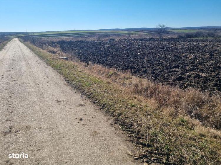 Teren de 3500 mp, în Pericei