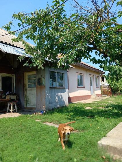 Casă cu 3 camere cu Teren 2138 Mp în Corbii Mari
