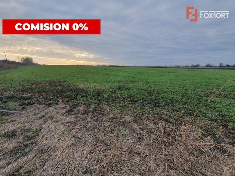 Teren agricol extravilan de 213257 mp, în Sud