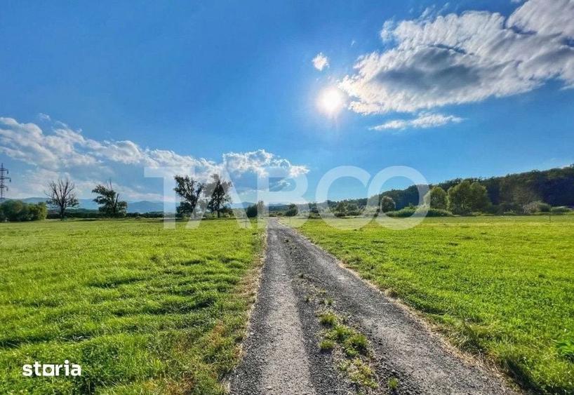 Teren intravilan 712 mp PUZ APROBAT 23 m front stradal Sibiu - 1