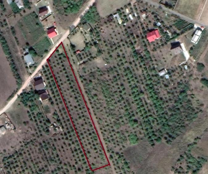 Teren intravilan 5.050 mp Tomesti Chicerea | P+2E | casa sau parcelare - 5