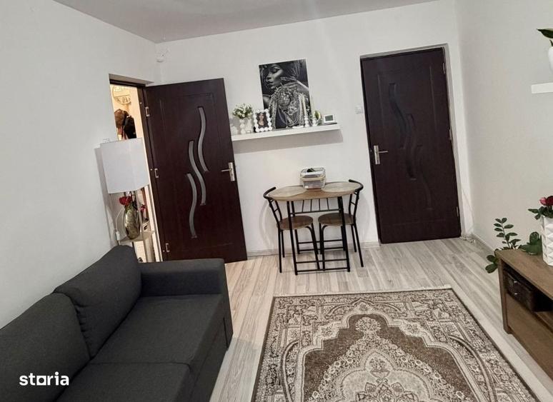 Apartament cu 2 camere în Podu Roș