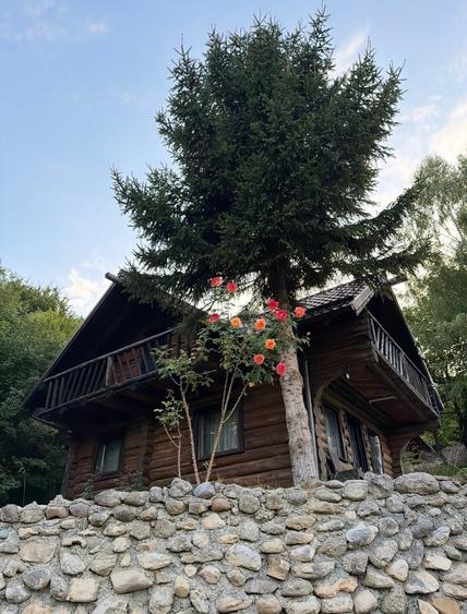 Casă cu 3 camere în Central