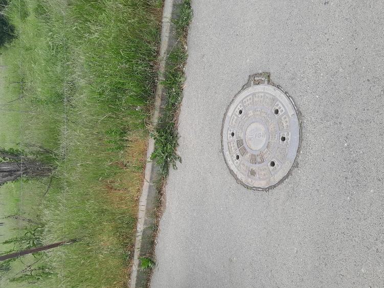 Teren de 5000 mp, în Giulești