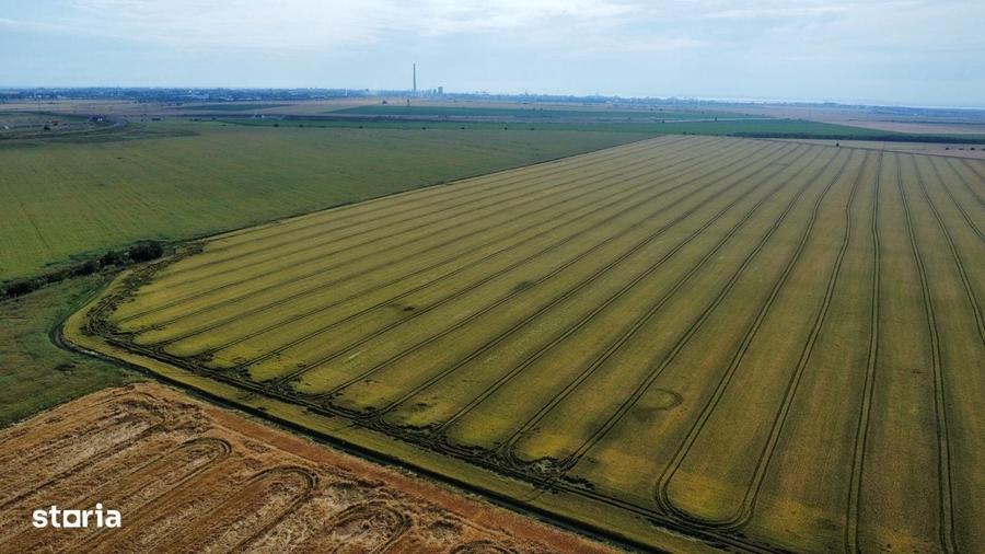 Teren intravilan 47.300 mp Cumpana, judetul Constanta - 2