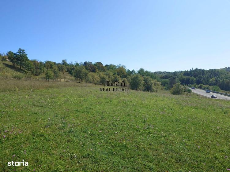 Teren de 8757 mp, în Luncoiu de Jos