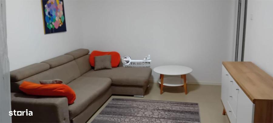 Apartament cu 2 camere nedecomandat, mobilat în Alexandru cel Bun
