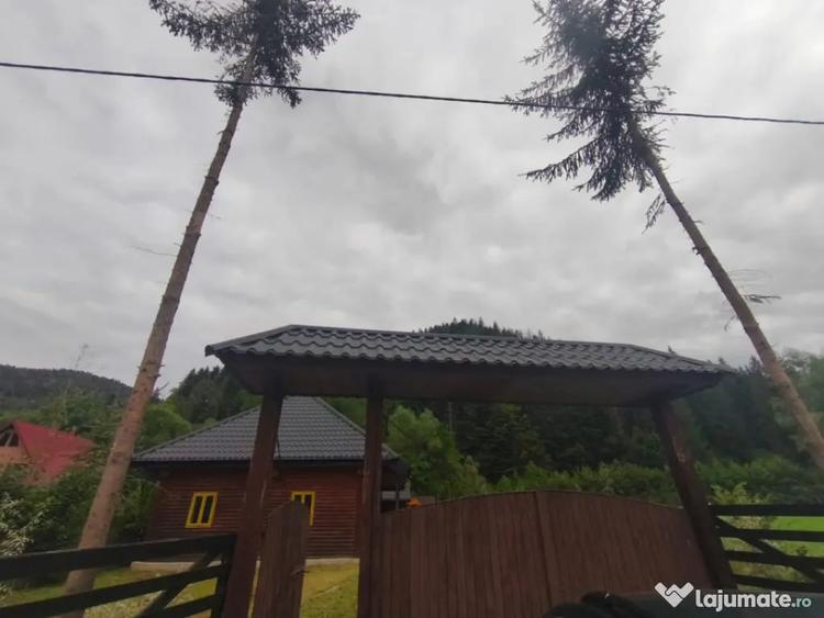 Casă cu 5 camere cu Teren 1250 Mp în Marginea