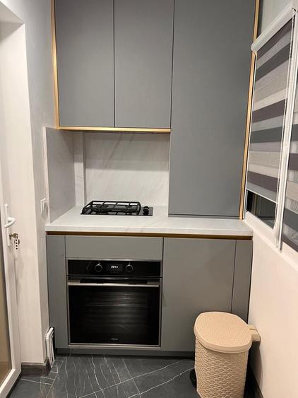 Apartament 2 camere decomandat liceu traian vuia - 7