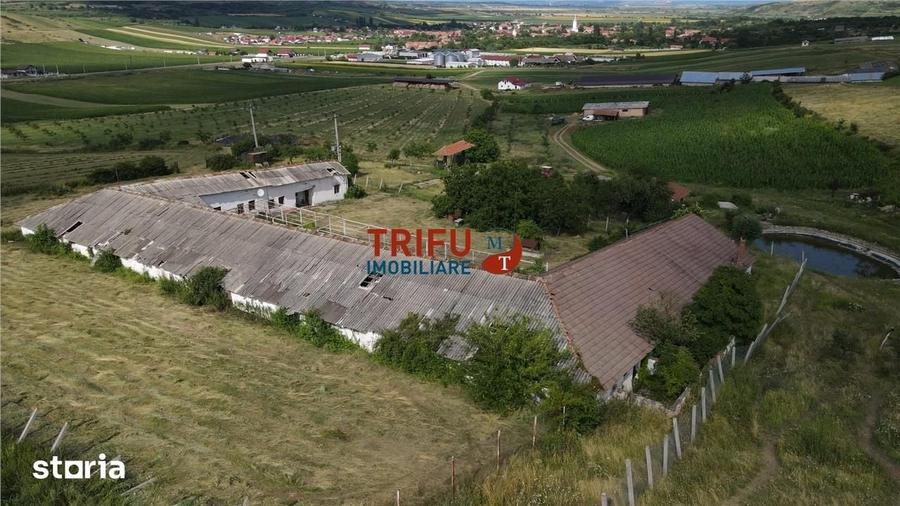 Spațiu comercial, de 1,190 mp, în Alba