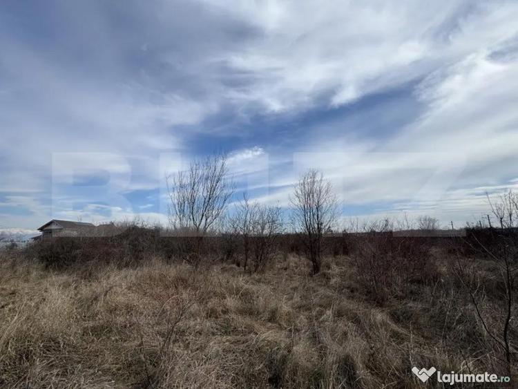 Teren de 15000 mp, în Centura
