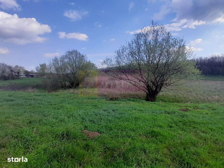 De Vanzare Teren 3400 Mp In Sat Podu Ilfovat / Com Buturugeni (Gr) - 4
