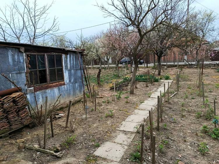 Casă cu 3 camere în Central
