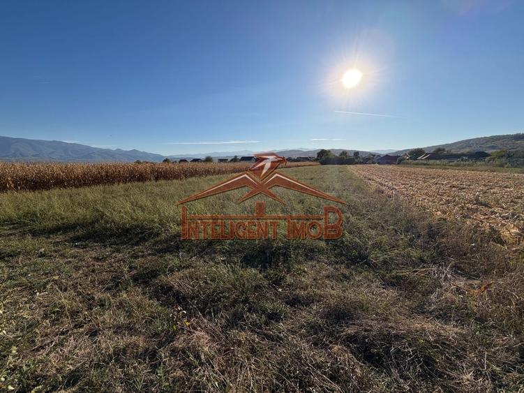 Teren agricol extravilan de 1250 mp, în Bradu