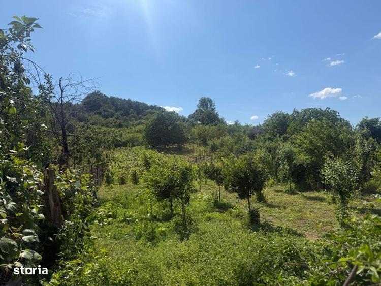 Casă cu 4 camere în Gura Văii