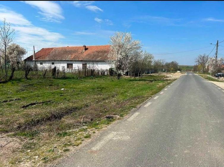 Spațiu comercial, în Țipari