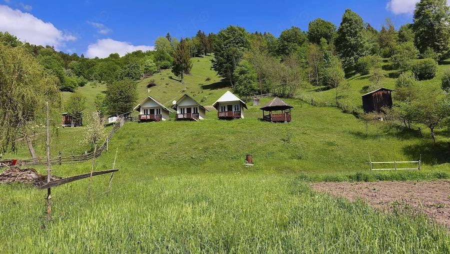 Casă cu Teren 3344 Mp în Dreptu