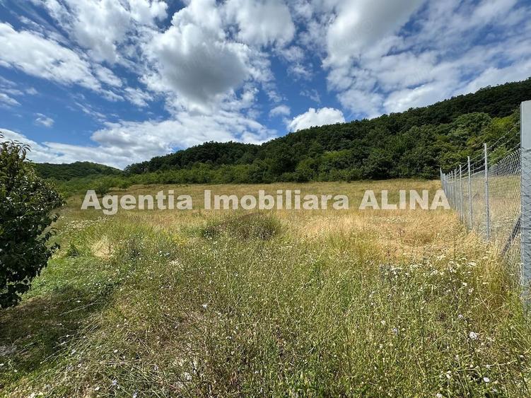 Teren de 1905 mp, în Șoimuș