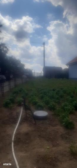 Teren de 781 mp, în Cetariu
