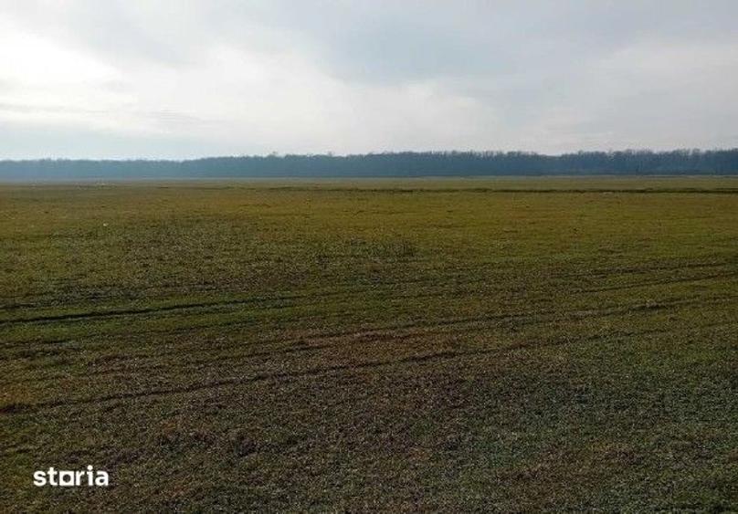 Teren de 635 mp, în Hârsești