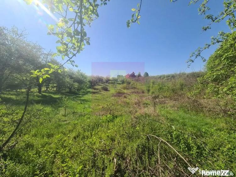 Teren de 2500 mp, în Voila