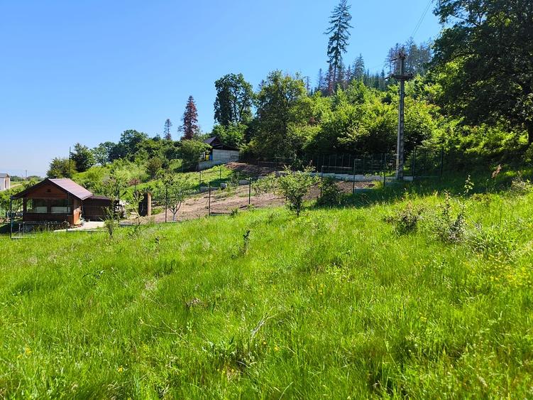 Teren Construcții intravilan de 2000 mp, în Cristian