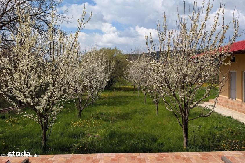 Casă cu 4 camere în Valea Mare