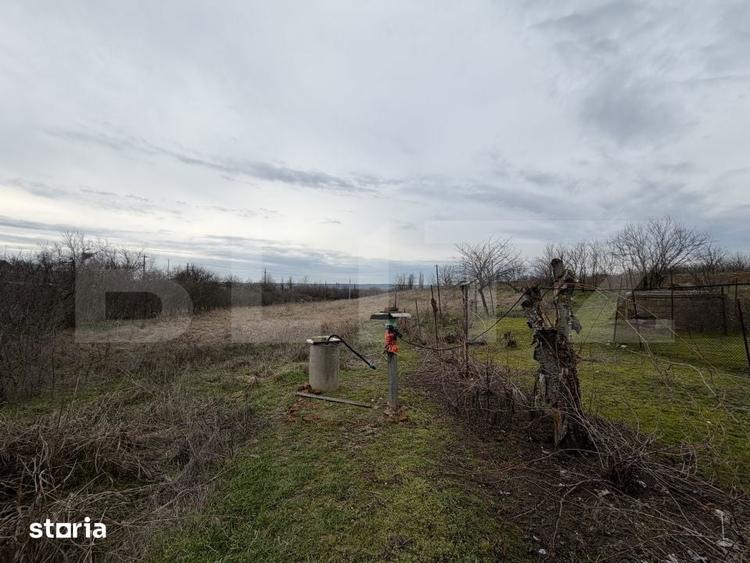 Casa pe parter, 115 mpc, 4505 mp teren, zona Bogea-Almaj - 2