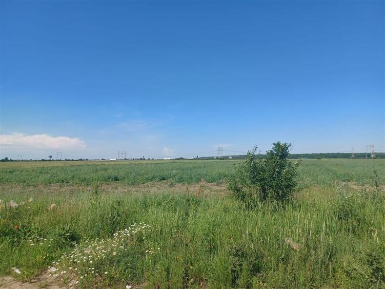 Teren Construcții intravilan de 12000 mp, în Ciorogârla