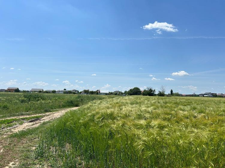 Teren Construcții intravilan de 400 mp, în Sud