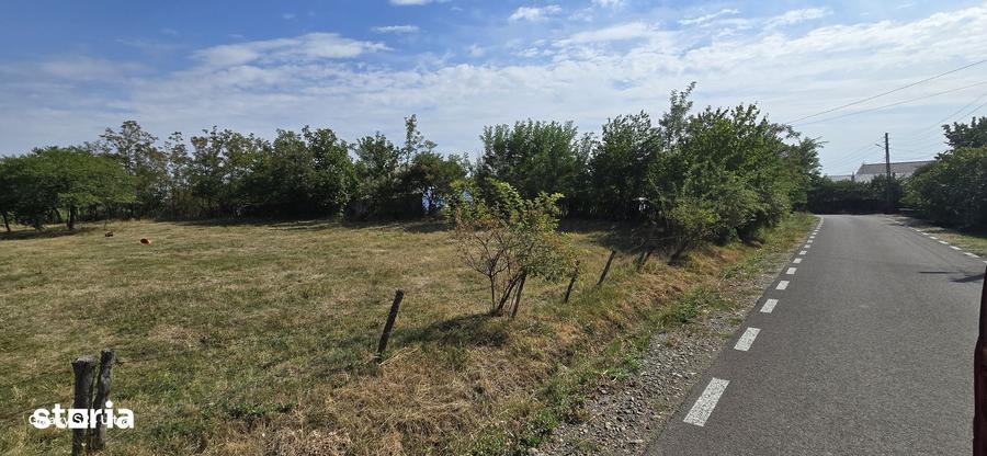 Teren de 4000 mp, în Mihai Eminescu