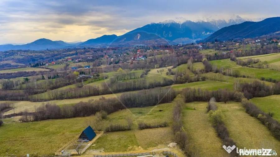 Teren în Tohănița