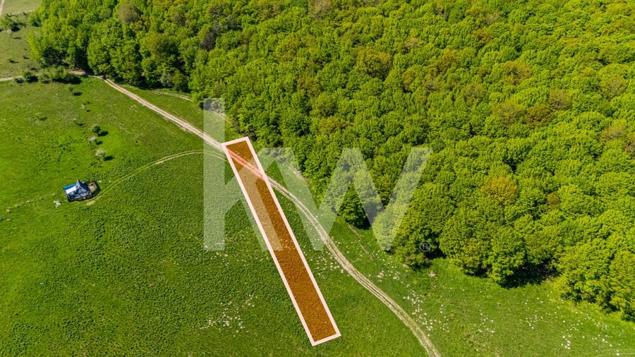 Teren agricol extravilan de 1500 mp, în Codlea