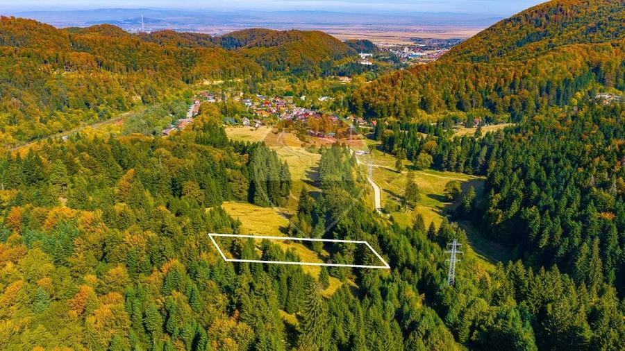 Teren Construcții intravilan de 2400 mp, în Timișu de Jos