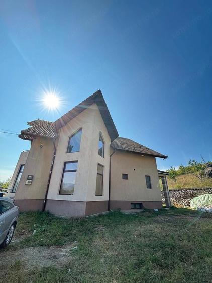 Proprietate deosebita cu vedere spectaculoasa spre Mun?ii Retezat - 7
