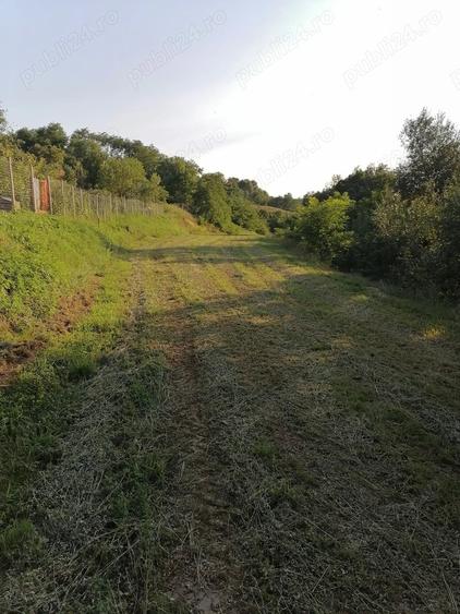 Casă cu 2 camere cu Teren 5400 Mp în Valea Lungă