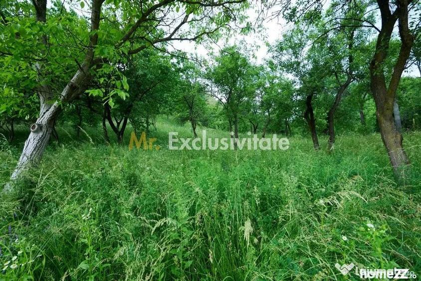 Casă cu 3 camere cu Teren 4696 Mp în Central