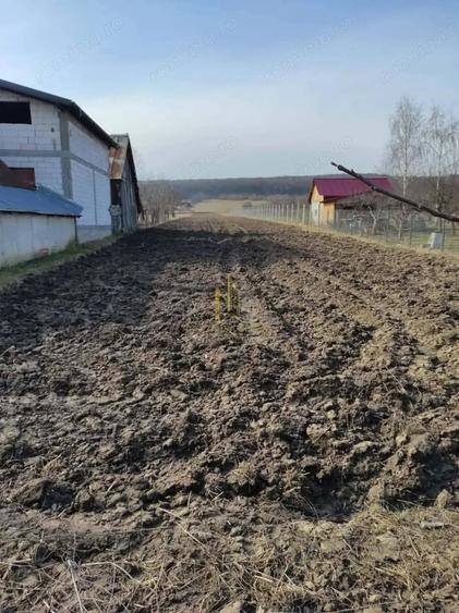 Teren de 2900 mp, în Lipoveni