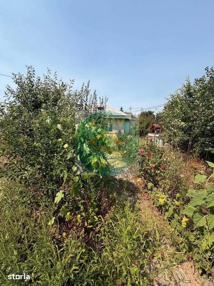 Casă cu 3 camere cu Teren 800 Mp în Cordun