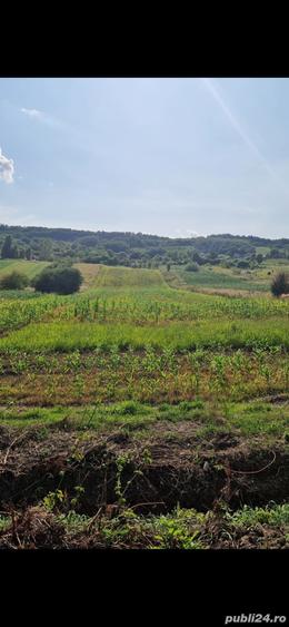 Teren de 9570 mp, în Ionești